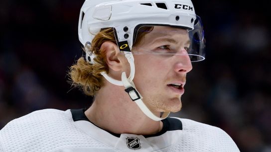 'He likes to poke the bear:' Brock McGinn shows he's full of surprises taken in Columbus, Ohio (In-depth)